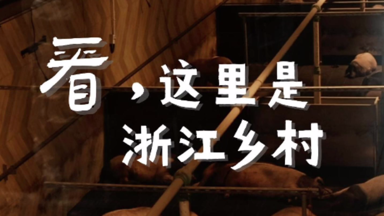 千万工程20周年·乡村之美⑤丨什么样的“猪景房”敢卖8888一晚？