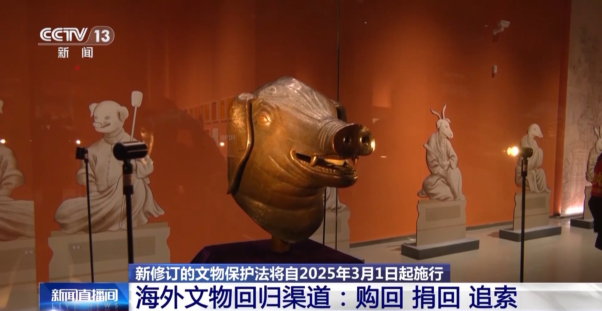 新蓝网