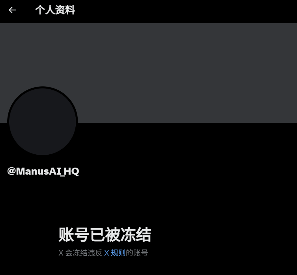 被爆炒的“AI智能体” Manus：有体验者称性能强但不稳定，为何频遭质疑--新蓝网