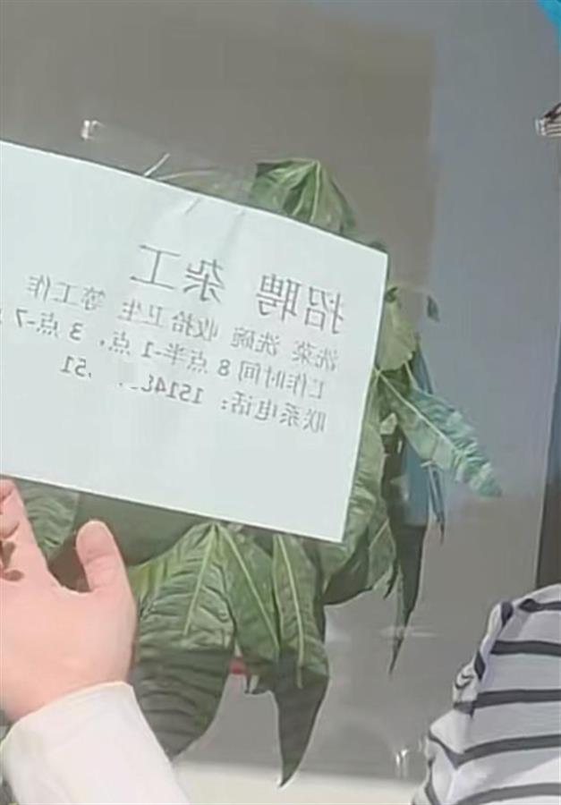 星空体育网站：蓝媒热评丨一张A4纸到底碍