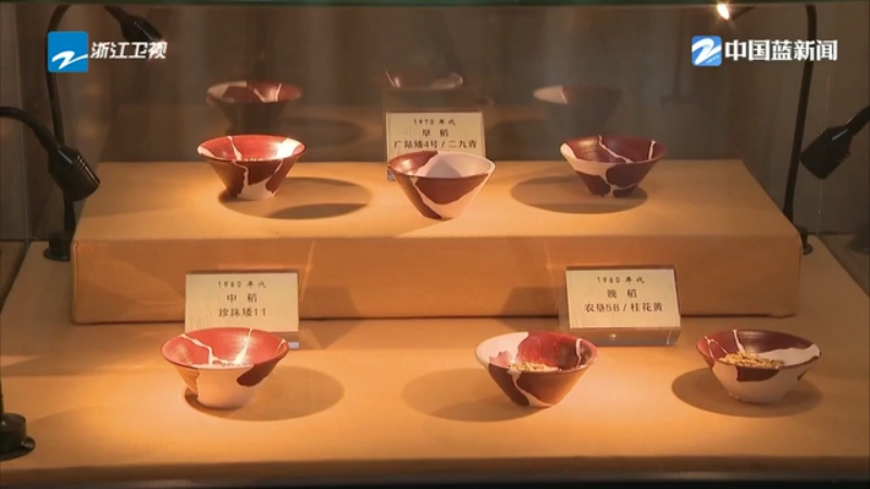 文化中国行｜浦江上山遗址发现一万年前世界最早稻米酒证据--新蓝网