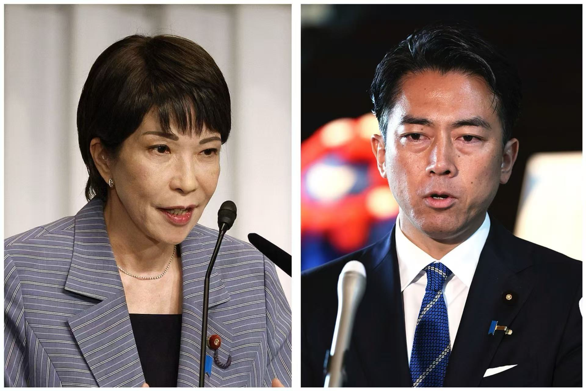 石破茂辞职能否换来党内团结？专家称继任者面临同样难题--新蓝网