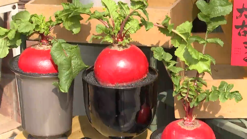 中国蓝观察丨今年年货都买啥？看看年轻人的“反套路”年货