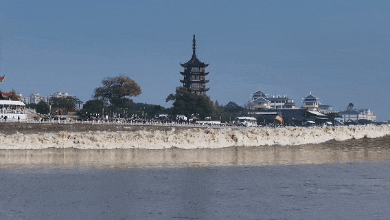 春日账本丨多地春假“带飞”清明节 亲子家庭成出游主力(图13)