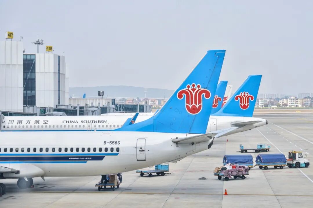 春日账本丨多地春假“带飞”清明节 亲子家庭成出游主力(图8)