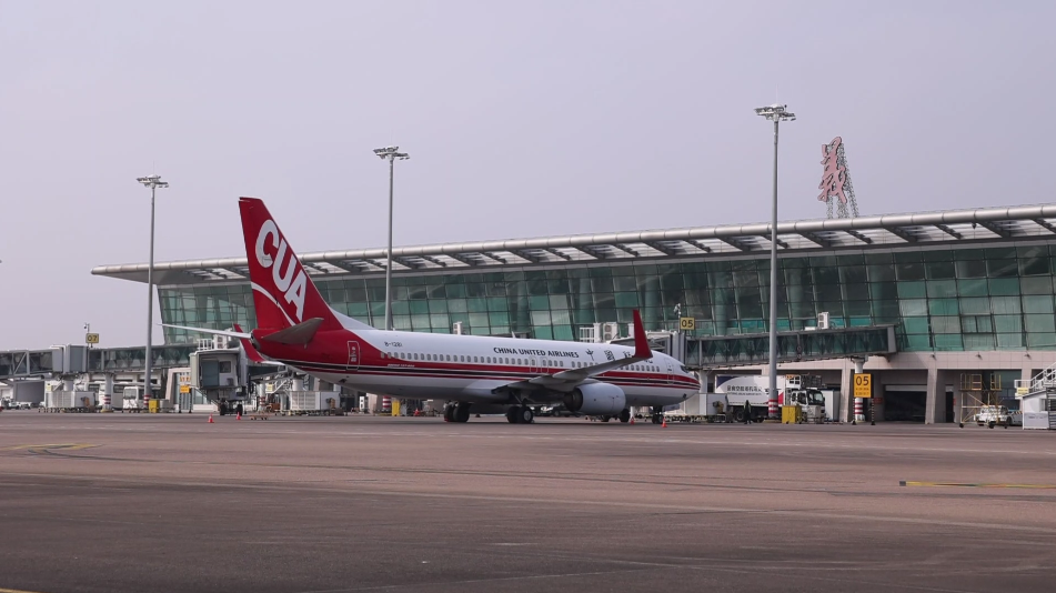 春日账本丨多地春假“带飞”清明节 亲子家庭成出游主力(图10)