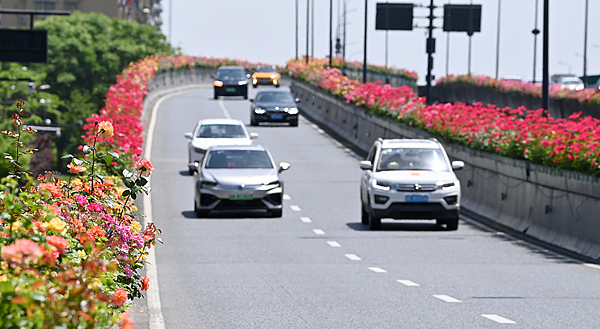 清明出行早知道：天气情况、高速拥堵路段、地铁运营时间调整(图4)