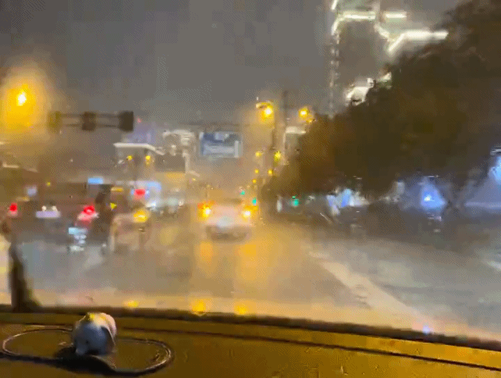 bc033b65ab41b47c10345f283c5cc97d2020722048442.gif