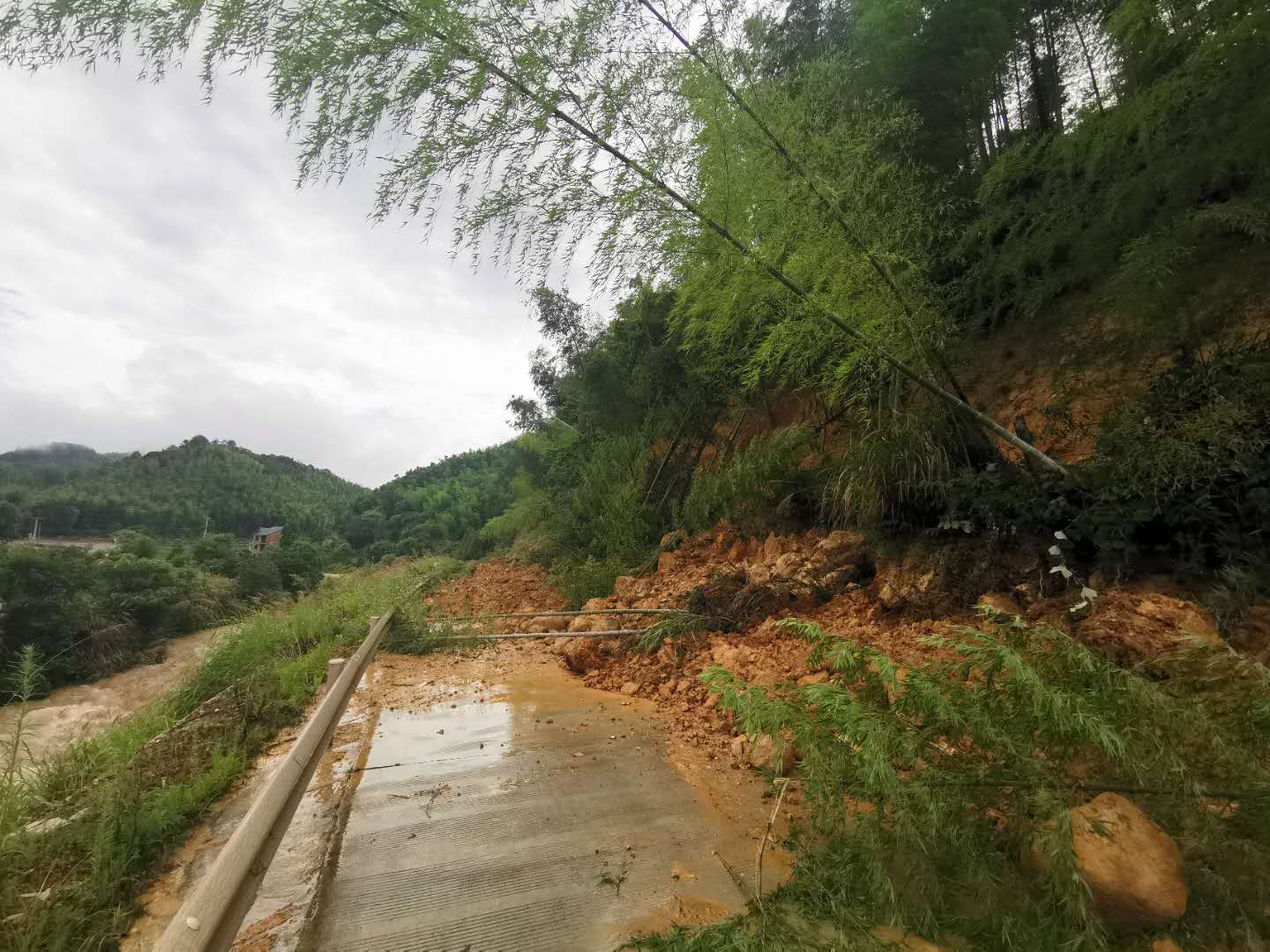 微信图片_20200701150632.jpg