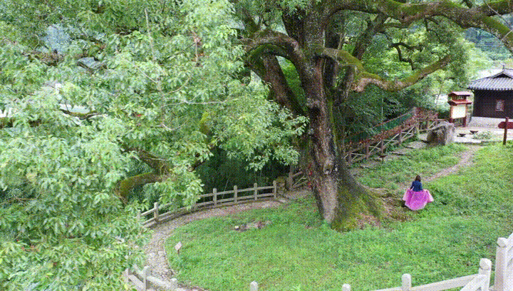 动图2改 00_00_00-00_00_30.gif