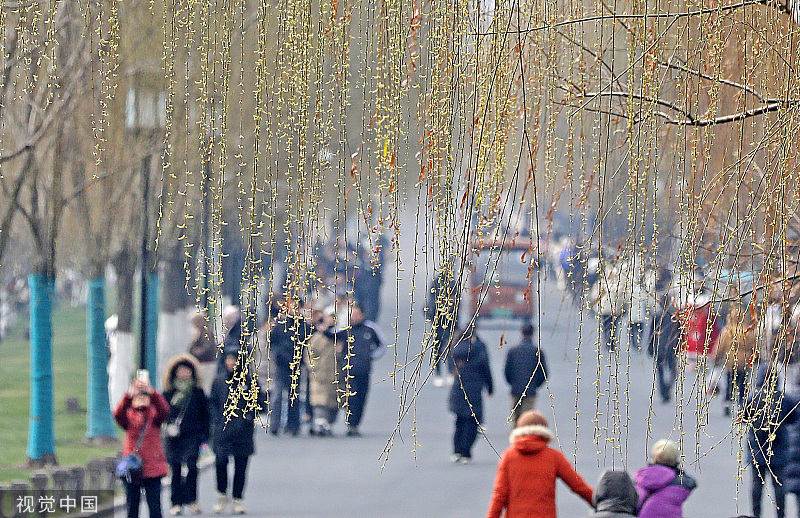 2024年宁波外来人口_2023年人口净流入55.7万,浙江人口增量领跑全国