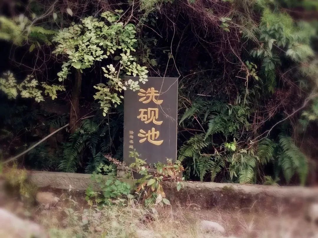 浙江宣传| 墨痕深处见风骨--新蓝网
