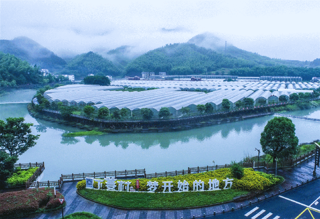 熊猫体育网站：“工位主理人”的诗和远方丨走！浙江22条人文乡村旅游线第一个就心动