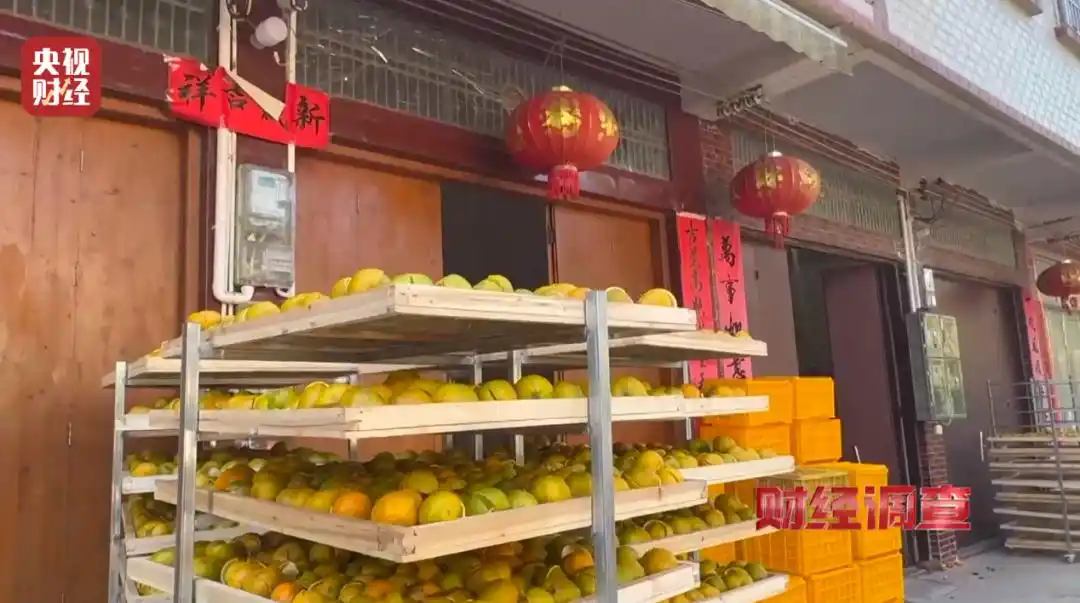 千元“新会陈皮”产地造假?深夜通报(图1)