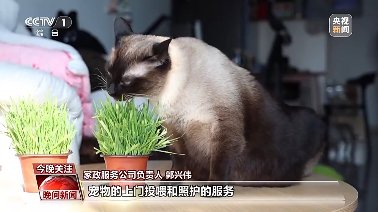 销量翻倍、订单排满 节前消费市场活力十足(图6)