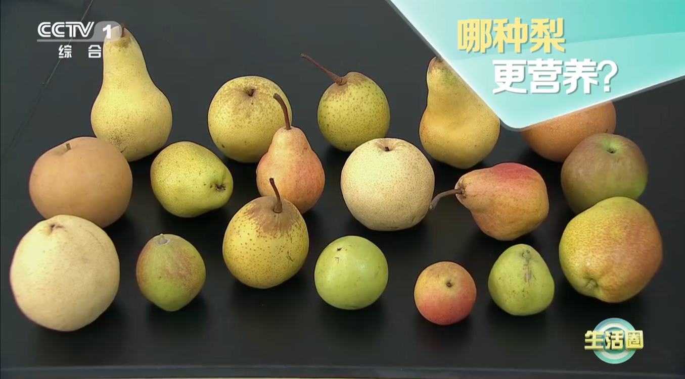 新蓝网