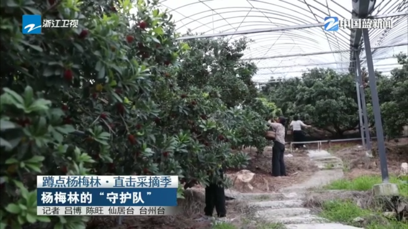 新蓝网