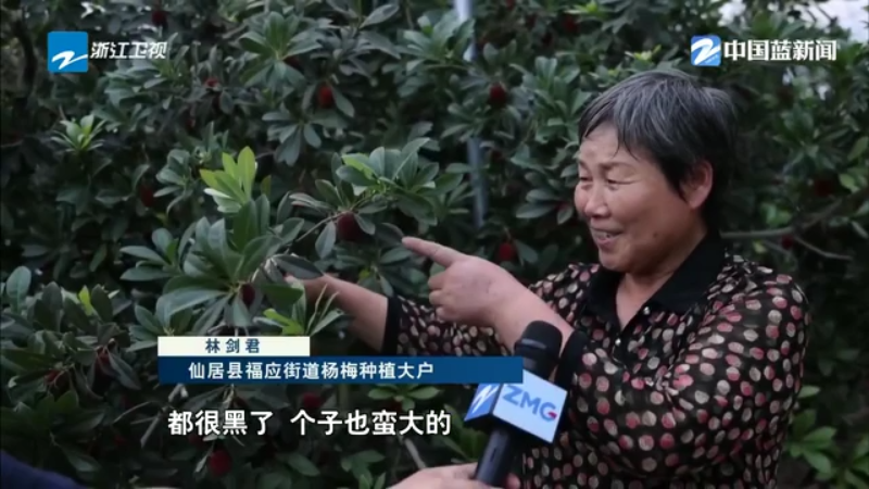 新蓝网