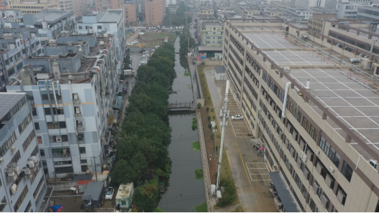 今日聚焦丨今晚播出溫州甌海區交界河道經多年整治仍反覆黑臭