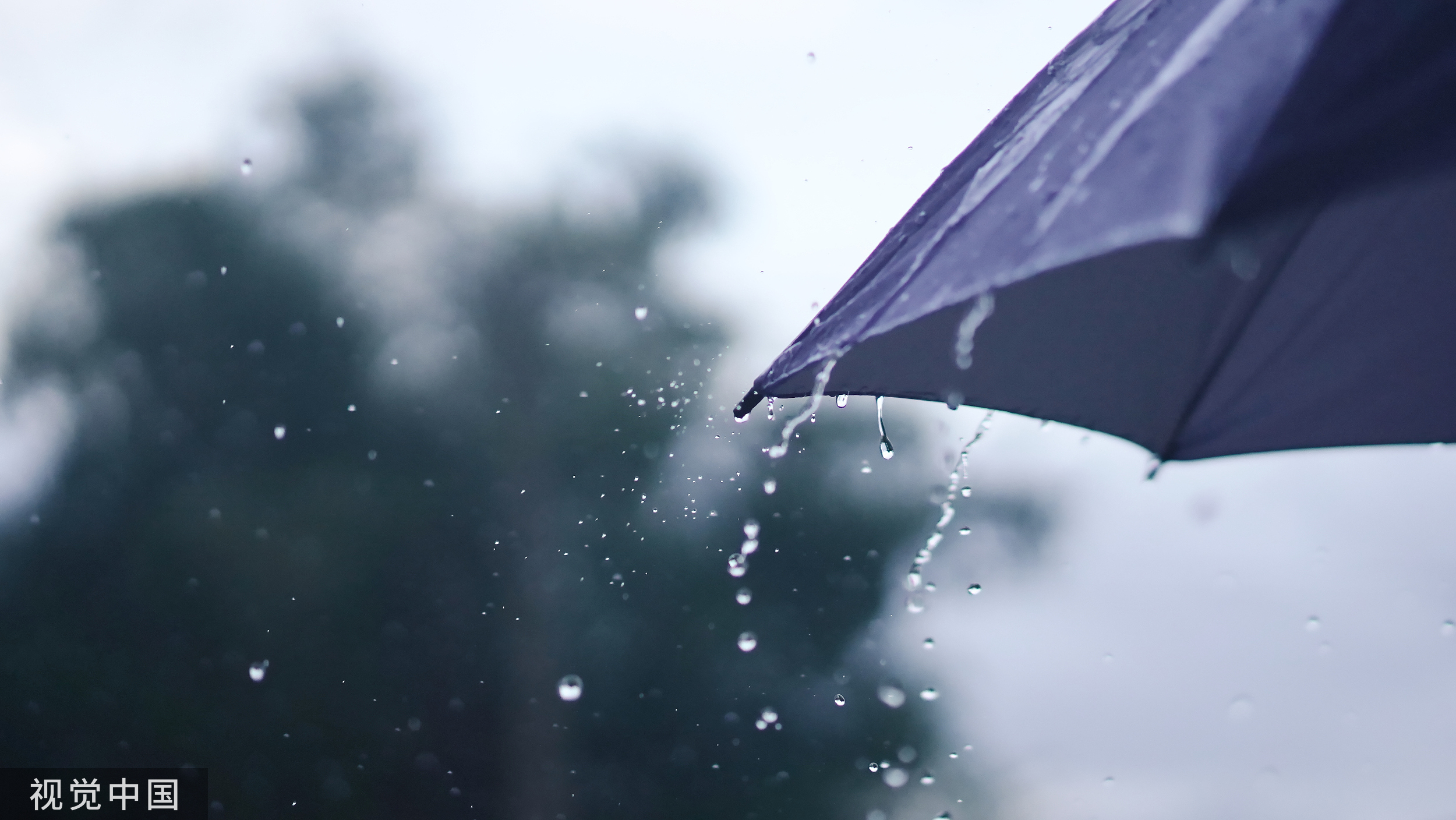 中雨 天气图片