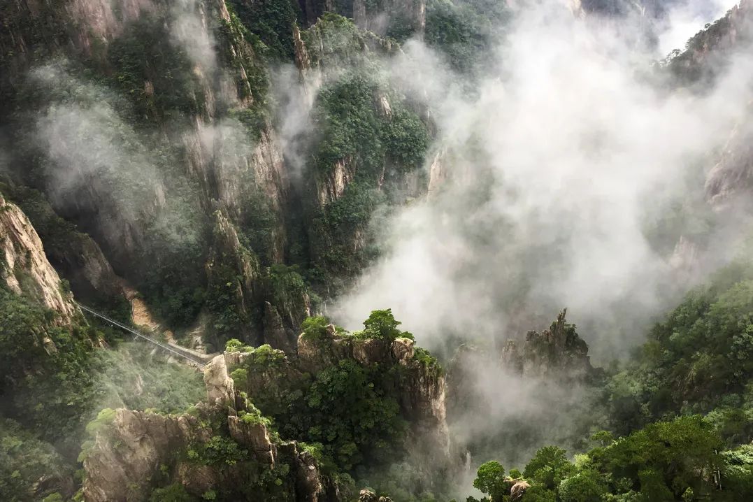 共12天,黄山风景区面向全球游客开展"免门票开放日"活动