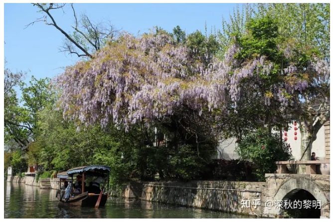 清明游丨浙些地方文化底蕴和美景可以兼得