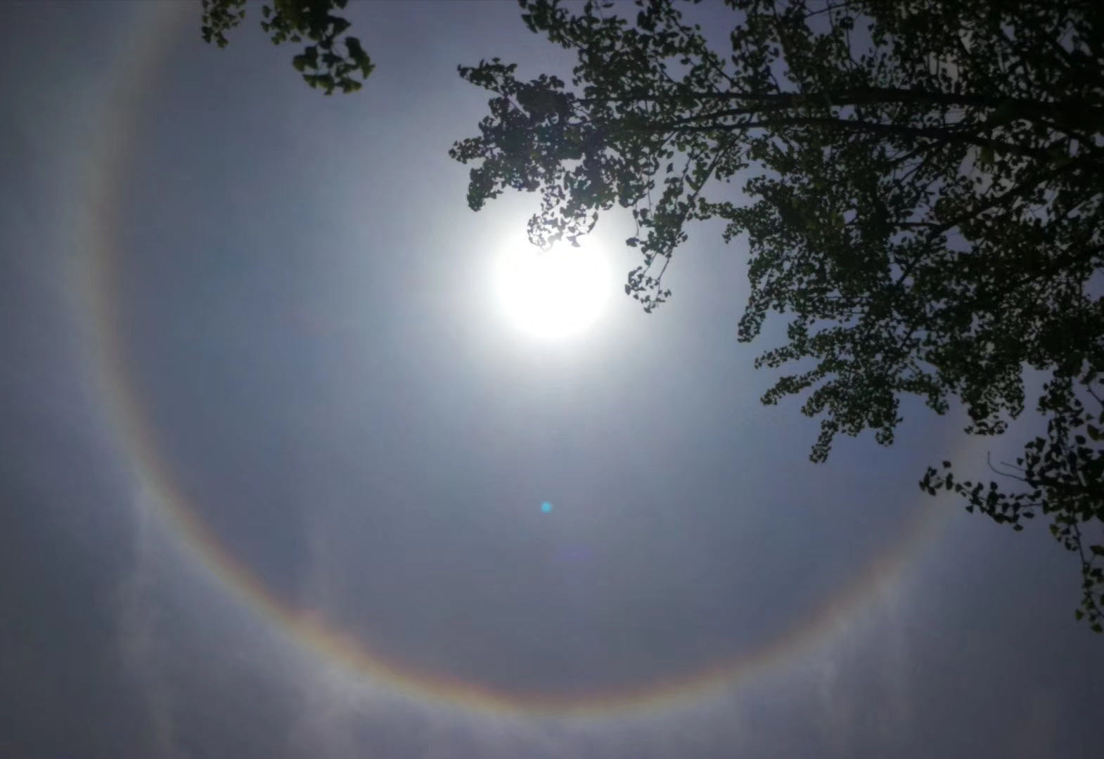 今天的朋友圈被天上的这个东西刷屏了!到底是个啥?