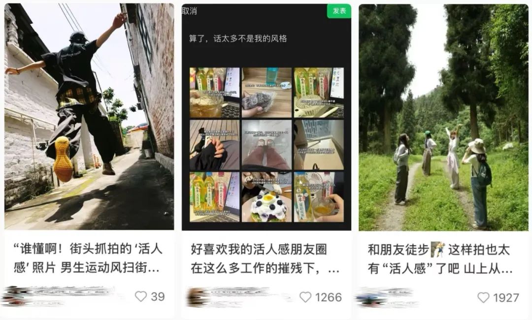 新蓝网